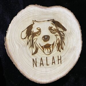 Boomstam (verschillende afmetingen)