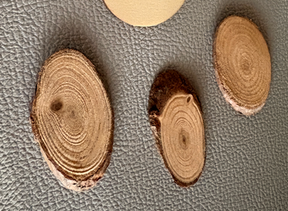 Boomstam naambordje - Afbeelding 3